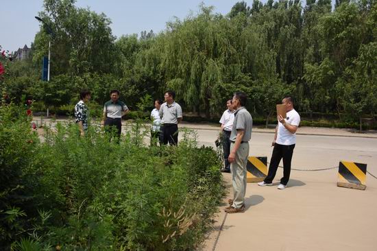 调整大小 cc02.JPG